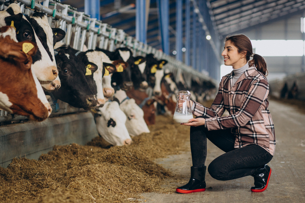 Fodder Trading Start Animal & Bird Feed Trading Business in UAE